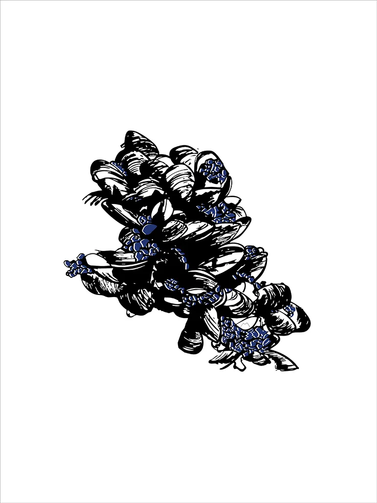 Moules de rocher
