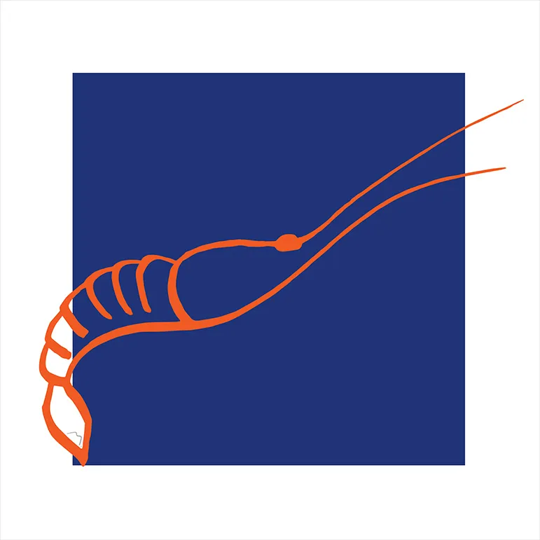Crevette orange