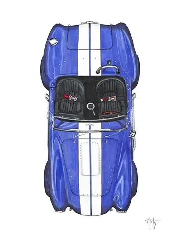 AC Cobra, une création de l'artiste peintre bretonne Arty